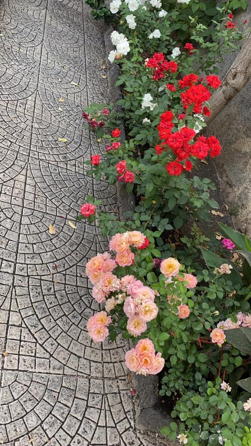 카타니아 Casa Delle Rose 빌라 외부 사진